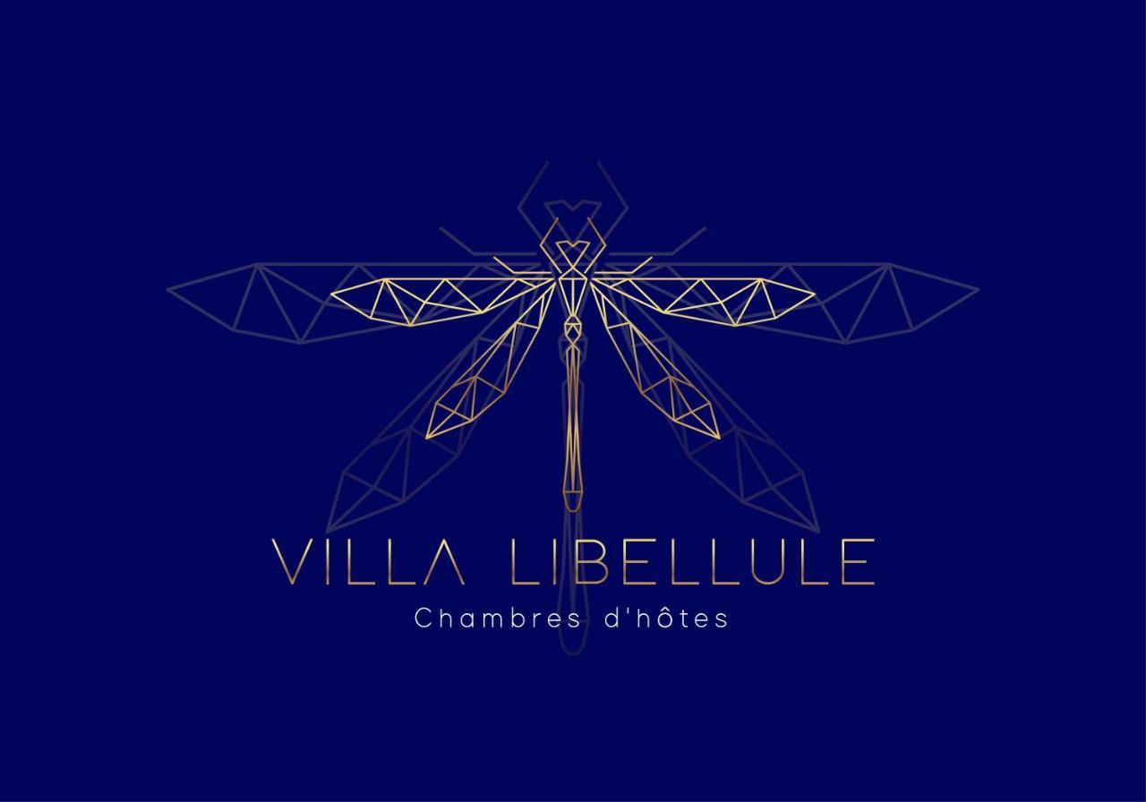 Villa Libellule Cénac Zewnętrze zdjęcie